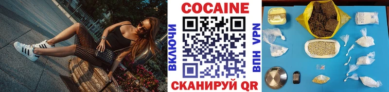 Купить где  Невельск  COCAIN FishScale 